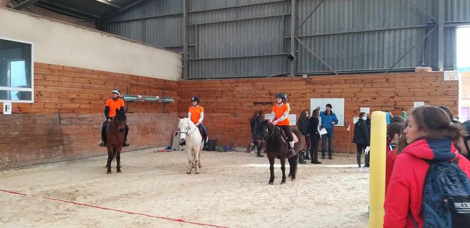 Championnats equitation