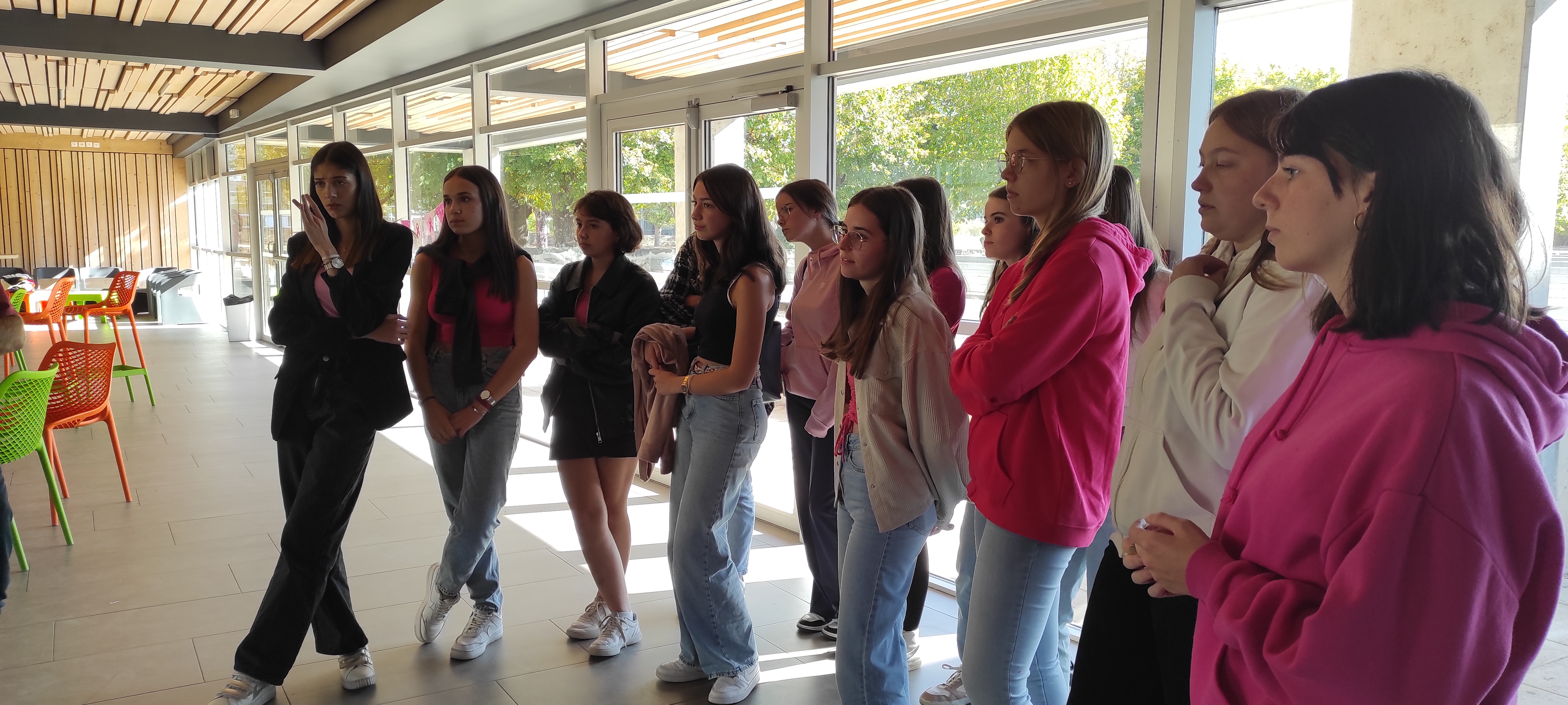 distributeur serviettes